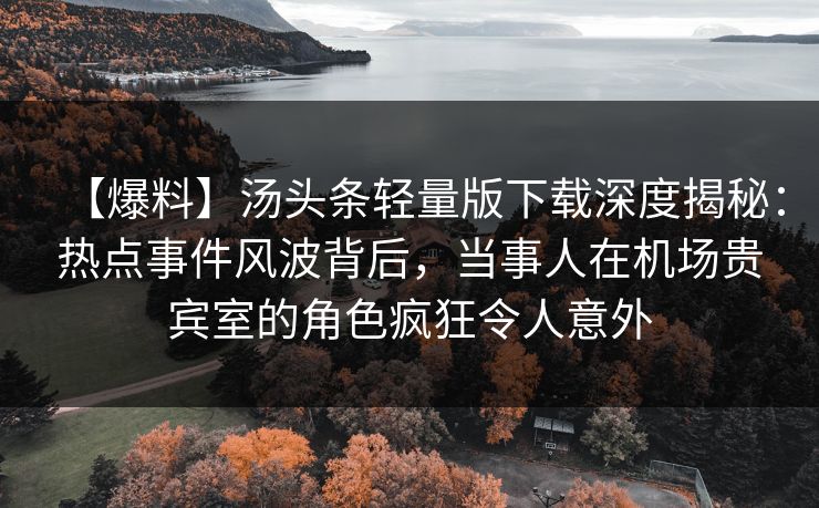 【爆料】汤头条轻量版下载深度揭秘：热点事件风波背后，当事人在机场贵宾室的角色疯狂令人意外