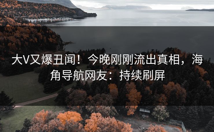 大V又爆丑闻！今晚刚刚流出真相，海角导航网友：持续刷屏