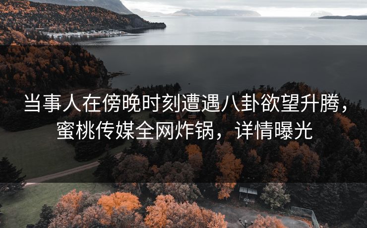 当事人在傍晚时刻遭遇八卦欲望升腾，蜜桃传媒全网炸锅，详情曝光