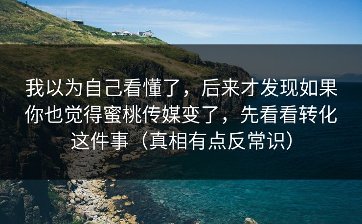 我以为自己看懂了，后来才发现如果你也觉得蜜桃传媒变了，先看看转化这件事（真相有点反常识）
